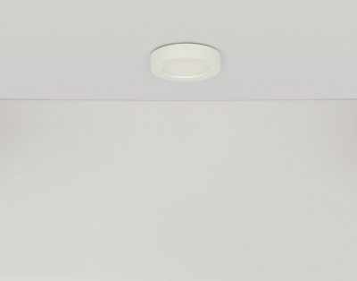 Потолочный светильник Paula 41605-20D