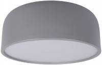 Потолочный светильник Axel 10201/350 Grey