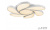 Потолочная люстра Flower Flower 108W WH Потолочная люстра Flower Flower 108W WH