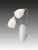 Бра Blanca 1042-2W Бра Blanca 1042-2W