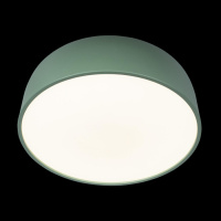 Потолочный светильник Axel 10201/480 Green