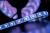 Светодиодная лента SWG560-12-14.4-RGB-65 Светодиодная лента SWG560-12-14.4-RGB-65