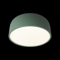 Потолочный светильник Axel 10201/350 Green