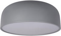 Потолочный светильник Axel 10201/480 Grey