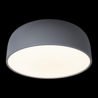 Потолочный светильник Axel 10201/480 Grey