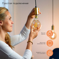 Лампочка светодиодная филаментная Smart Home 1220112