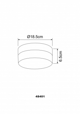 Потолочный светильник Opal 48401