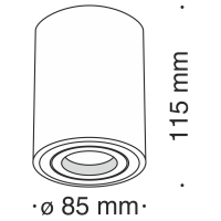 Потолочный светильник Maytoni C016CL-01B