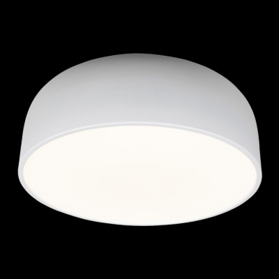 Потолочный светильник Axel 10201/480 White