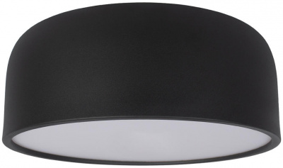 Потолочный светильник Axel 10201/350 Black