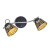 Спот Орегон CL508522 Спот Орегон CL508522
