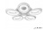 Потолочная люстра Fancy FS-011-X5 120W WH Потолочная люстра Fancy FS-011-X5 120W WH