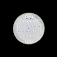 Потолочный светильник Axel 10001/36 Green